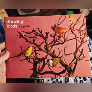 Vintage Drawing Birds Art Book